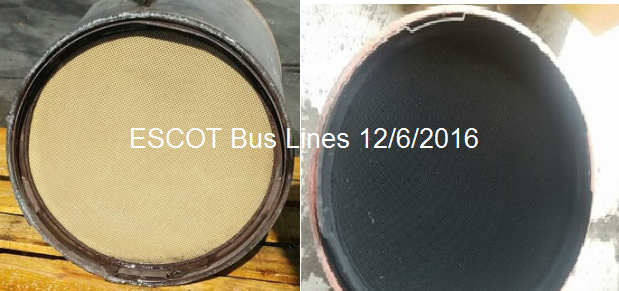 EscotBusLines12 6 16