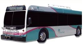 PalmTran Bus1