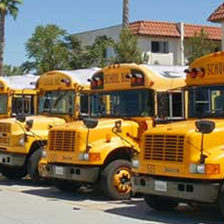 school bus 250x250